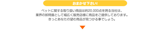 ���܂����������I